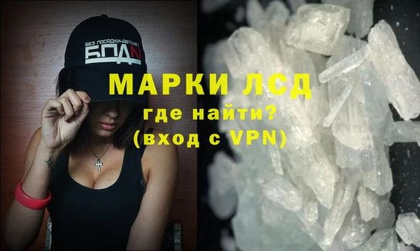 СК Зерноград
