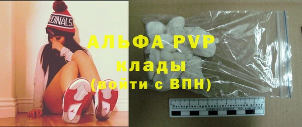 СК Зерноград
