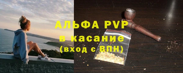 СК Зерноград