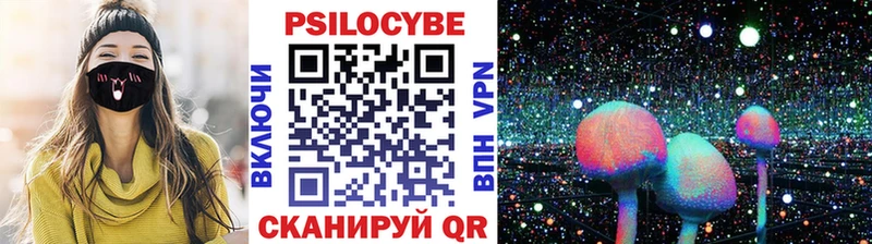 Псилоцибиновые грибы Psilocybine cubensis  Купить  Шарья 