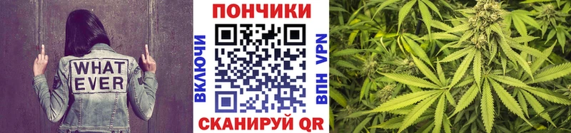 Конопля ГИДРОПОН  Купить закладки  Шарья 